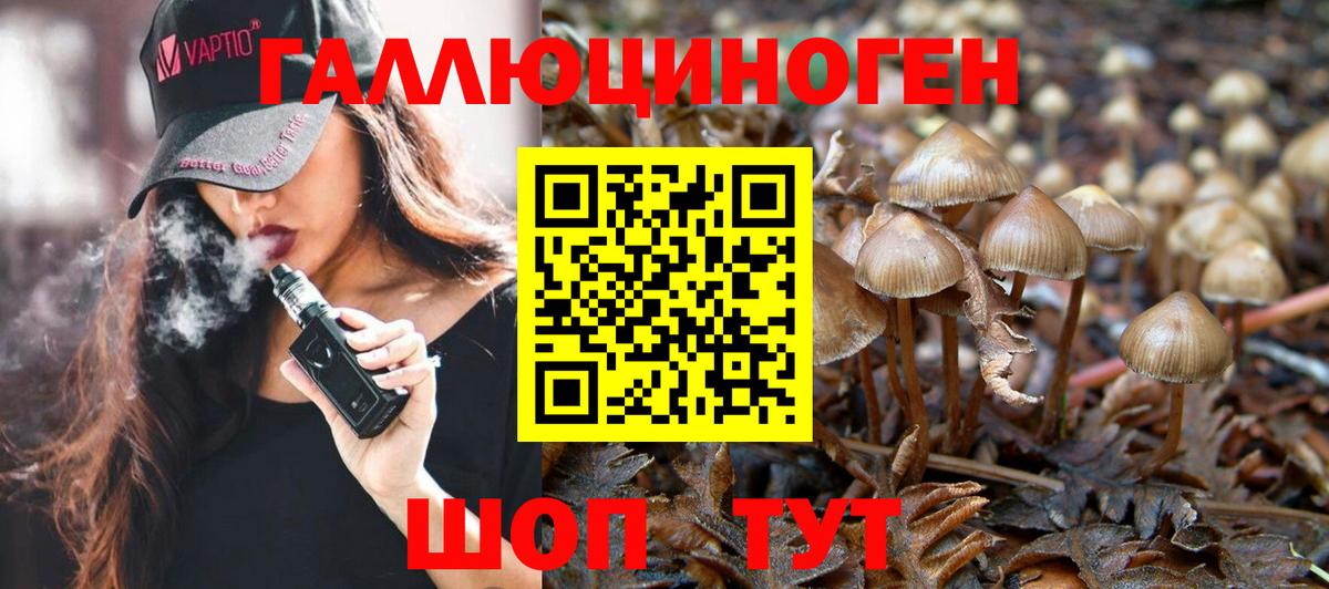 Острогожск  Галлюциногенные грибы Cubensis  Вход с VPN  Галлюциногенные грибы мухоморы 