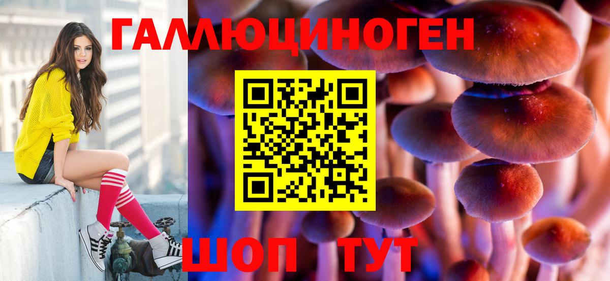 Псилоцибиновые грибы ЛСД Острогожск